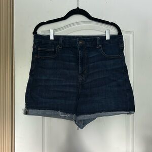 American Eagle Dark Blue Shorts